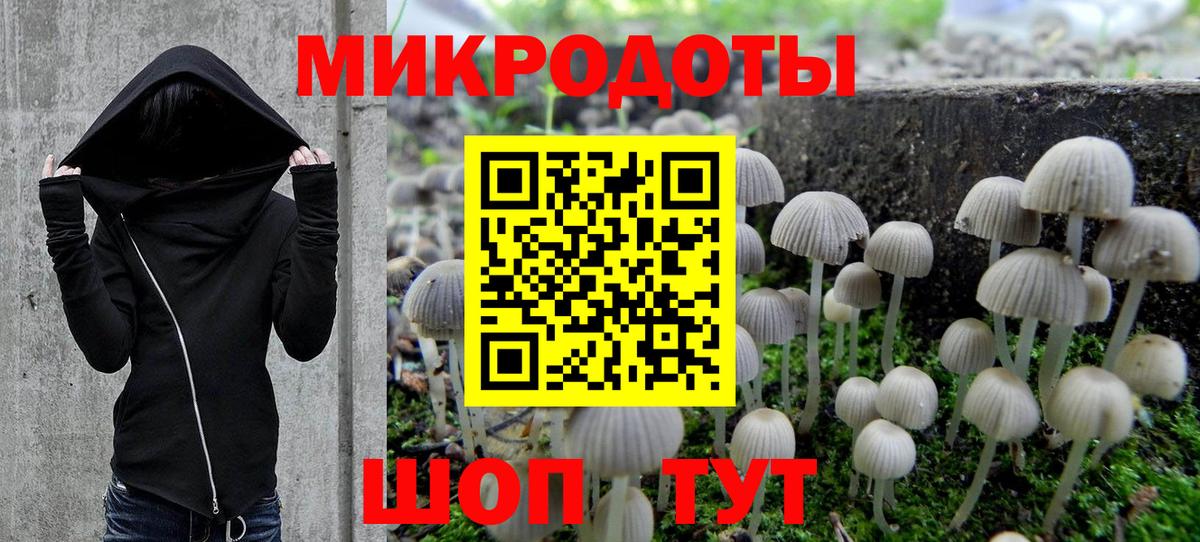 Севастополь  Галлюциногенные грибы прущие грибы  Вход с VPN  Псилоцибиновые грибы мицелий 