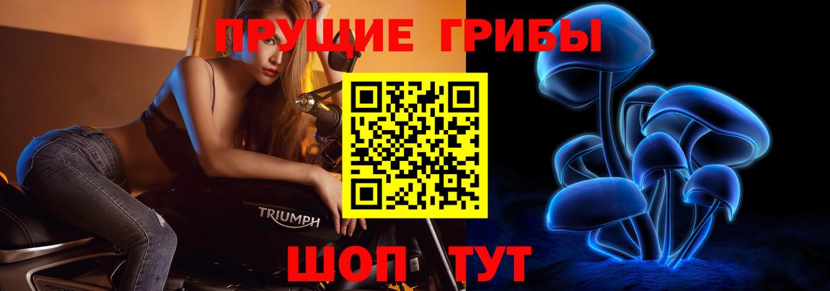 Галлюциногенные грибы Psilocybine cubensis Севастополь